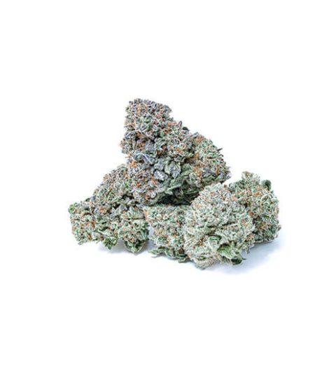 Close-up of dense bubblegum gelato cannabis buds with green, orange, and frosty trichomes on white background