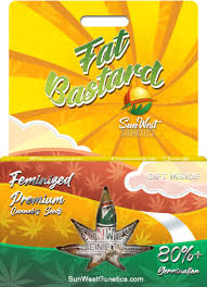 Ganjavores DC| Fat Bastard | Designer Flower | 3.5g-14g