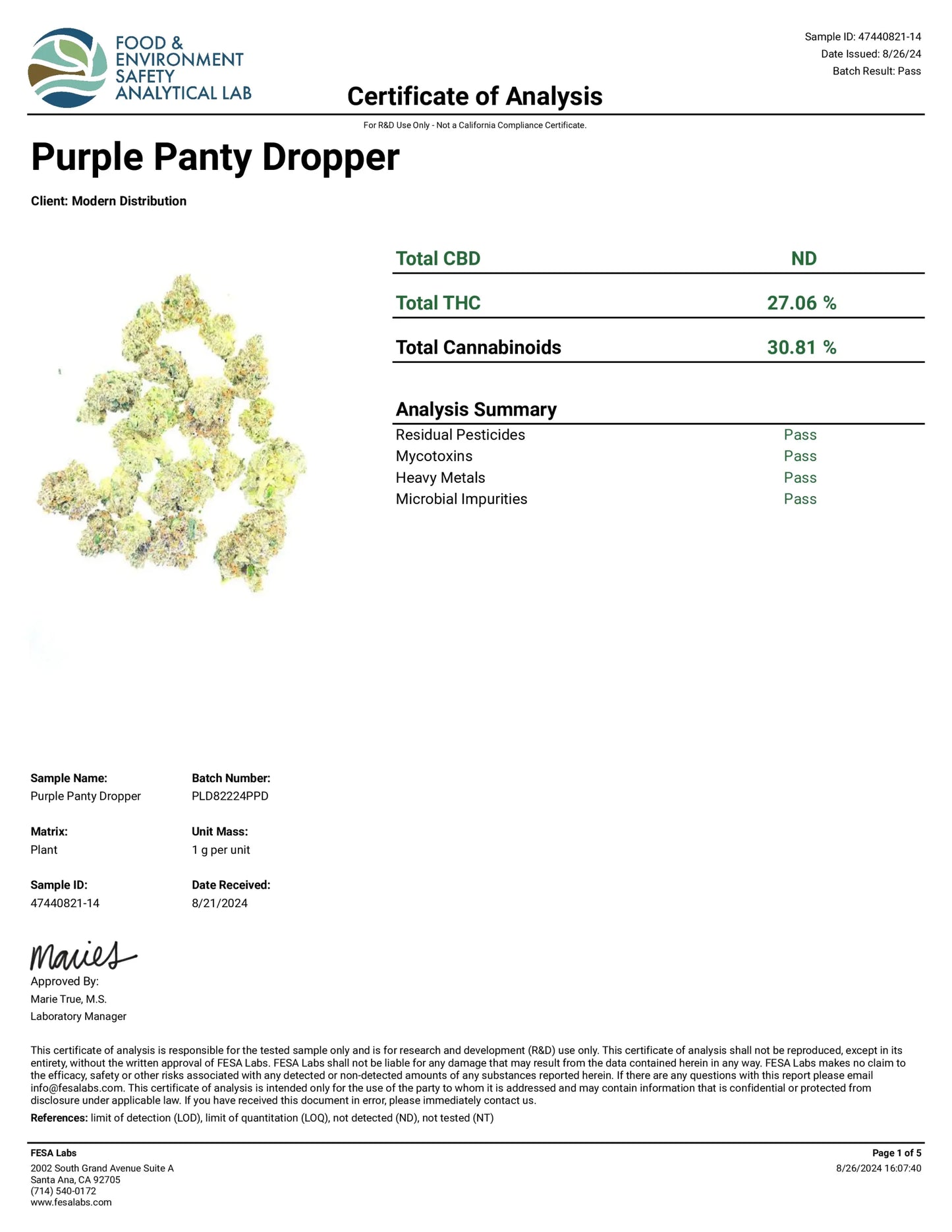 Purple Panty Dropper Exotic Whole Flower | THCa Flower | 3.5G & 28G