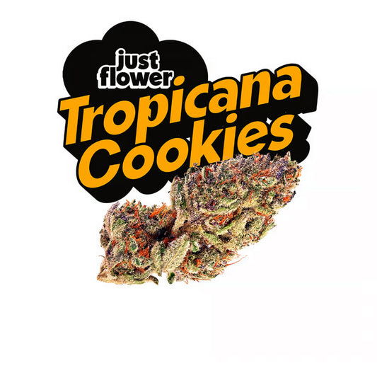 Just Flower | Tropicana Cookies | Pre-Pack Premium Flower | 7G SALE DEAL