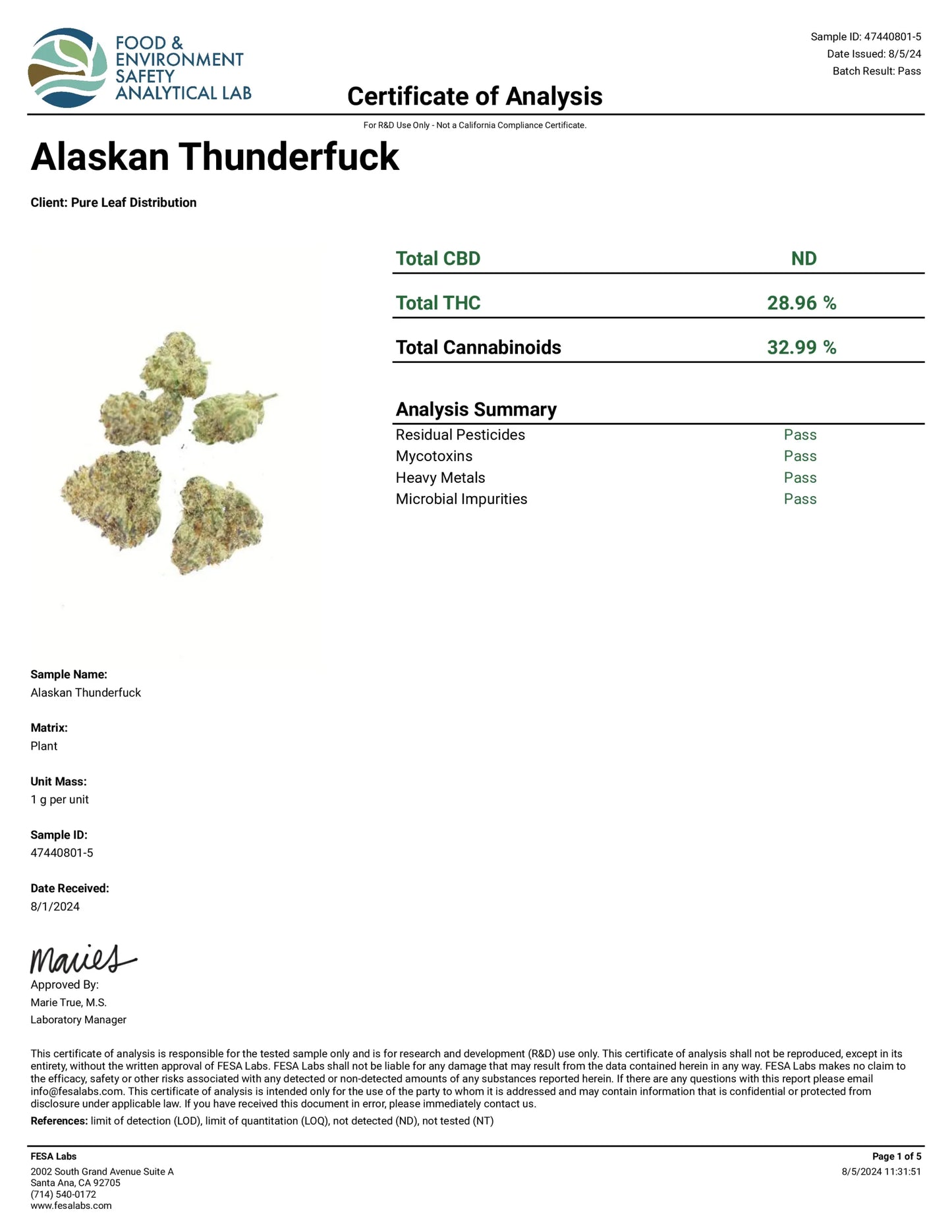 ALASKAN THUNDER F⚡⚡K Exotic Whole Flower | THCa Flower | 3.5G & 28G