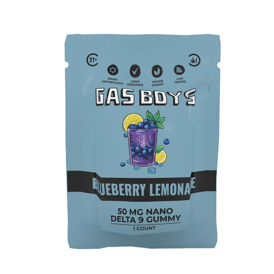 BLUEBERRY LEMONADE | DELTA 9 NANO GUMMY | 50MG SINGLE SERVE BAG