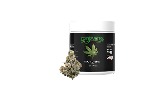 Ganjavores Sour Diesel | Pre-Packaged | Hybrid | 3.5G