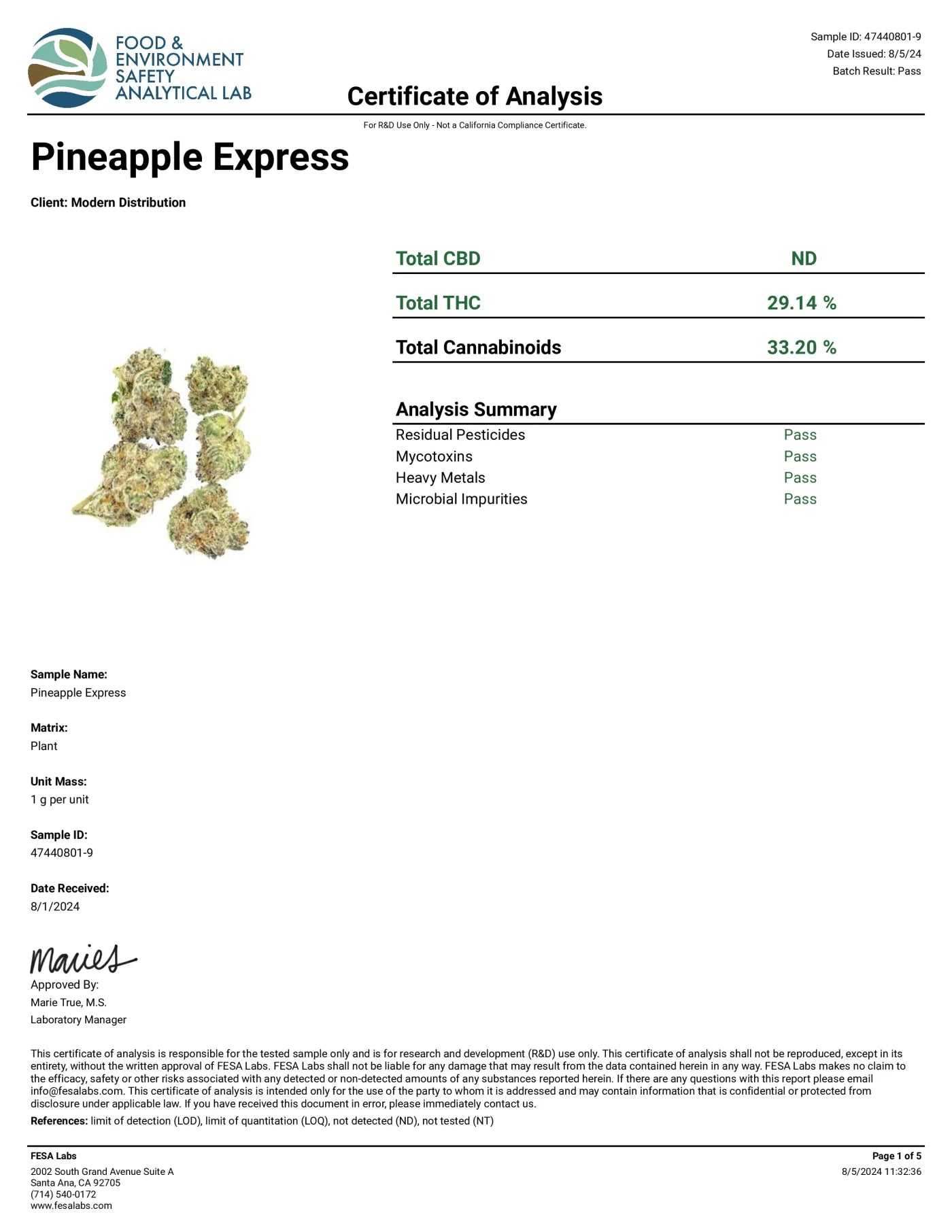 Pineapple Express Premium Whole Flower | THCa Flower | 3.5G