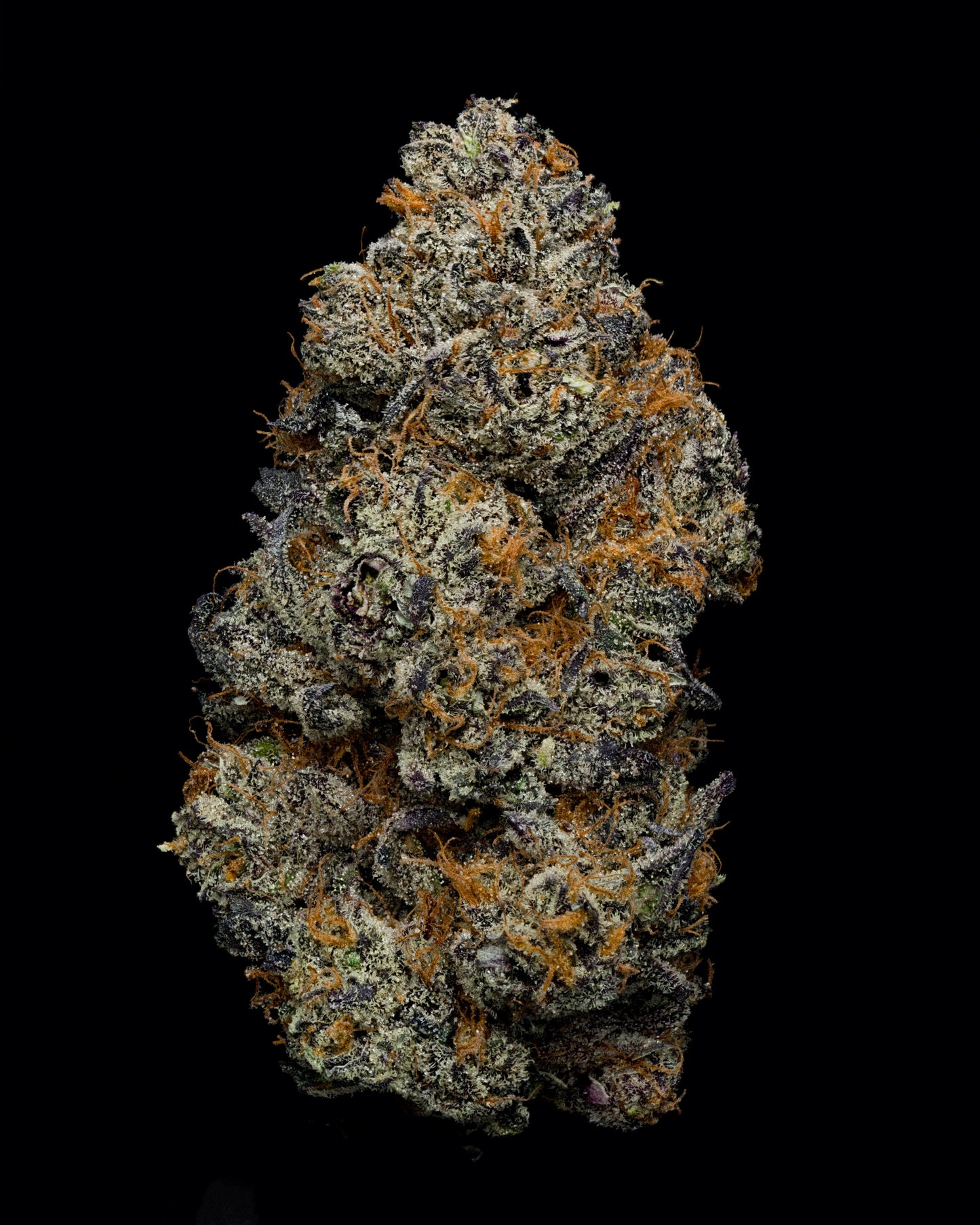 Ganjavores DC | White Truffle | Top-Shelf Flower | 3.5g - 14g